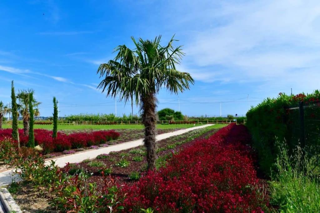 Domaine Juan Flore Антиб Экстерьер фото
